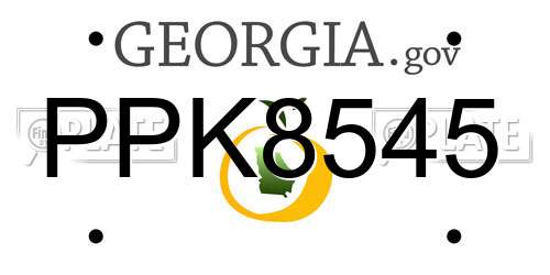PPK8545 Georgia License Plate