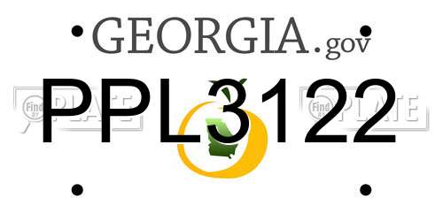 PPL3122 Georgia License Plate