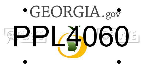 PPL4060 Georgia License Plate