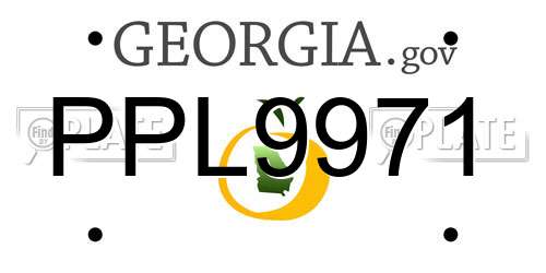 PPL9971 Georgia License Plate