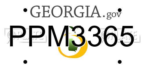 PPM3365 Georgia License Plate