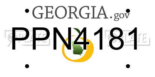 PPN4181 Georgia License Plate