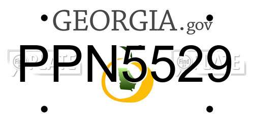 PPN5529 Georgia License Plate
