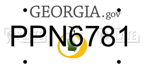 PPN6781 Georgia License Plate