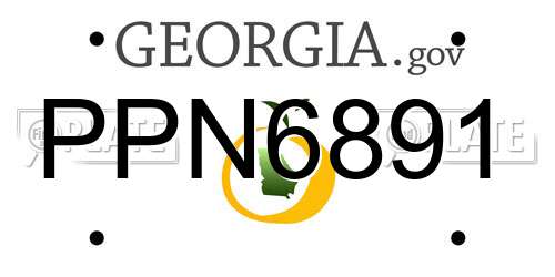 PPN6891 Georgia License Plate