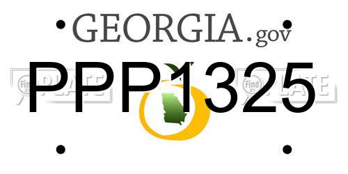 PPP1325 Georgia License Plate