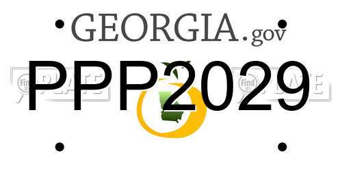 PPP2029 Georgia License Plate