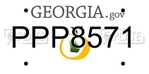 PPP8571 Georgia License Plate