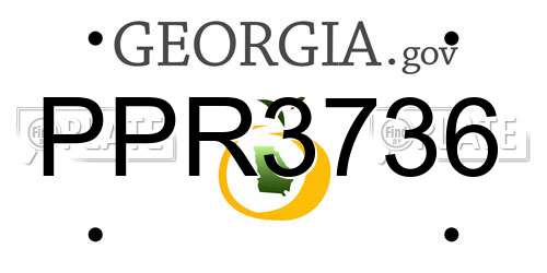 PPR3736 Georgia License Plate