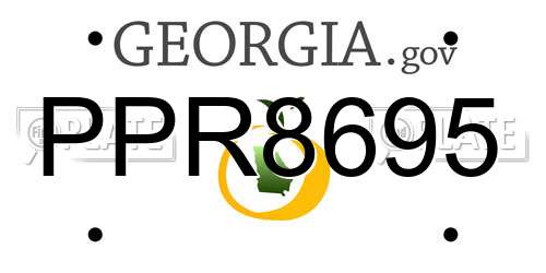 PPR8695 Georgia License Plate