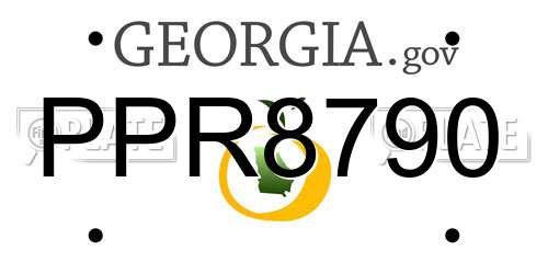 PPR8790 Georgia License Plate