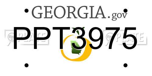 PPT3975 Georgia License Plate