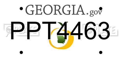 PPT4463 Georgia License Plate
