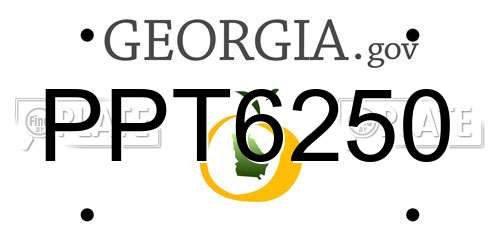 PPT6250 Georgia License Plate