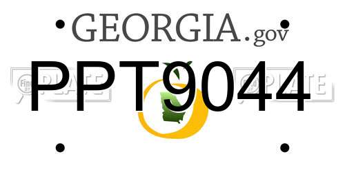 PPT9044 Georgia License Plate