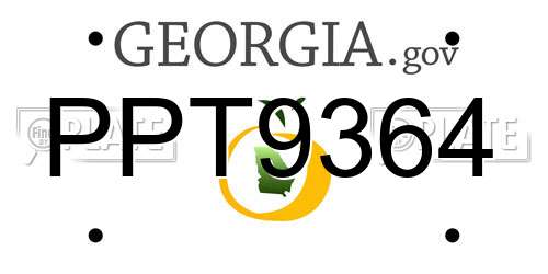 PPT9364 Georgia License Plate