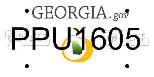 PPU1605 Georgia License Plate