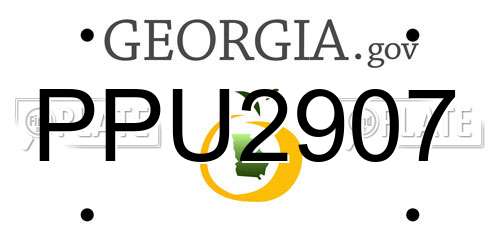 PPU2907 Georgia License Plate