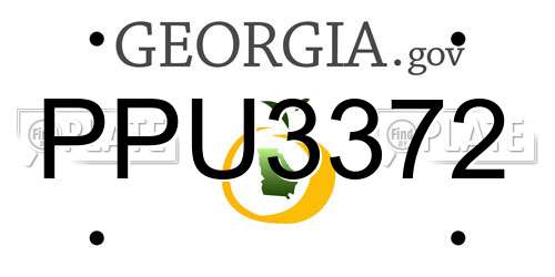 PPU3372 Georgia License Plate