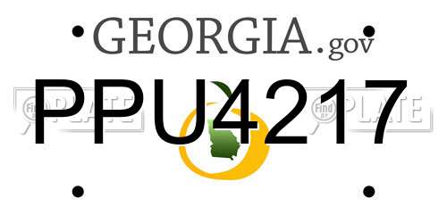 PPU4217 Georgia License Plate