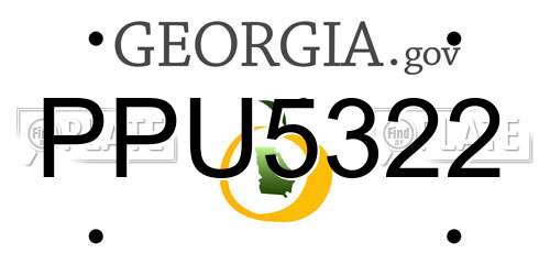 PPU5322 Georgia License Plate