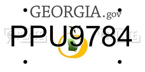 PPU9784 Georgia License Plate