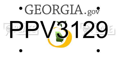 PPV3129 Georgia License Plate