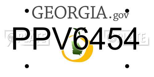 PPV6454 Georgia License Plate