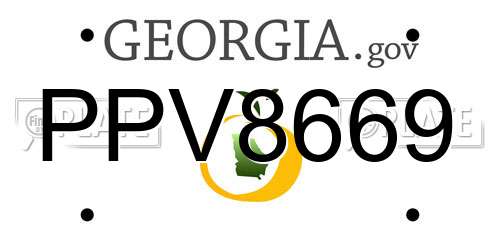 PPV8669 Georgia License Plate
