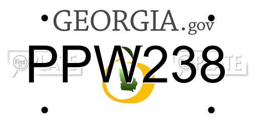 PPW238 Georgia License Plate