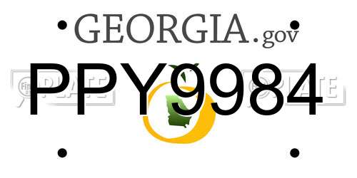 PPY9984 Georgia License Plate