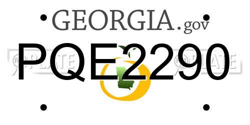PQE2290 Georgia License Plate