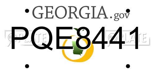 PQE8441 Georgia License Plate