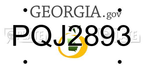 PQJ2893 Georgia License Plate