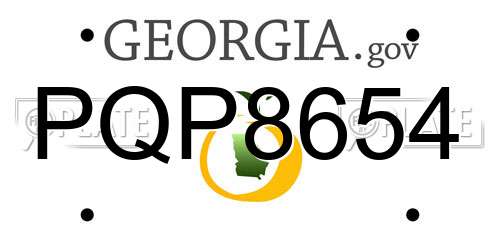 PQP8654 Georgia License Plate