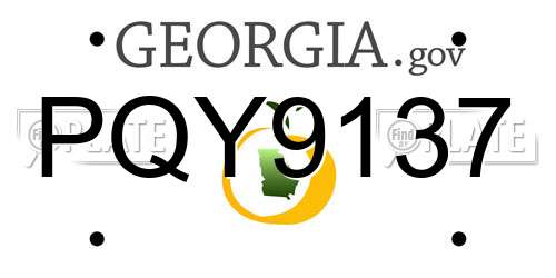 PQY9137 Georgia License Plate