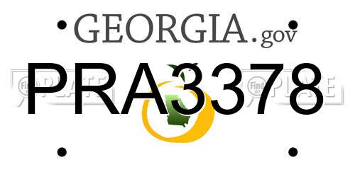 PRA3378 Georgia License Plate