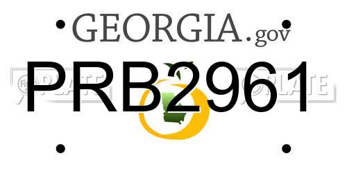 PRB2961 Georgia License Plate