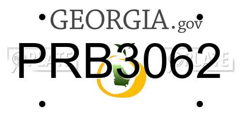 PRB3062 Georgia License Plate