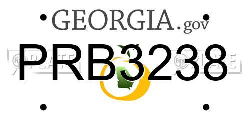 PRB3238 Georgia License Plate