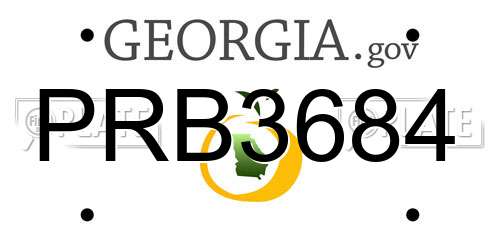 PRB3684 Georgia License Plate