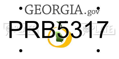 PRB5317 Georgia License Plate