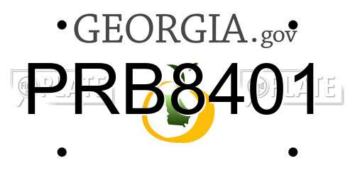 PRB8401 Georgia License Plate
