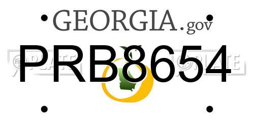 PRB8654 Georgia License Plate