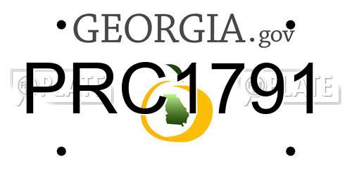 PRC1791 Georgia License Plate