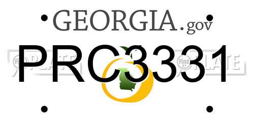 PRC3331 Georgia License Plate
