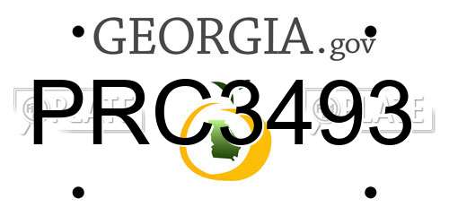 PRC3493 Georgia License Plate