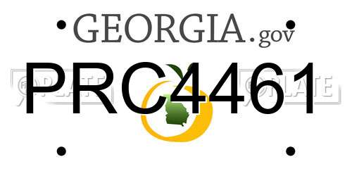 PRC4461 Georgia License Plate