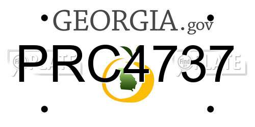 PRC4737 Georgia License Plate
