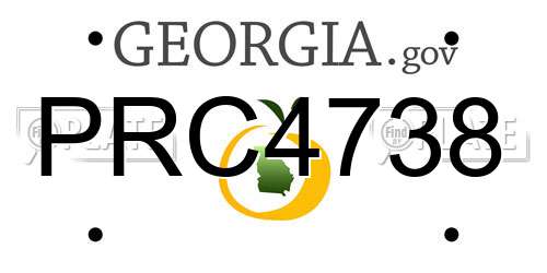 PRC4738 Georgia License Plate